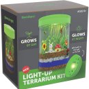 내 책상위의 작은 숲 테라리움 이미지