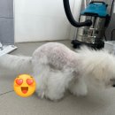 플라이투더뭉 이미지