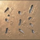 현대조각 이미지