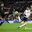 스콜피온 이미지