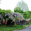 소선암유원지(야영장)내 이미지