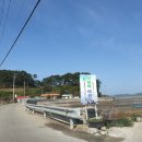이태백야영장 | 이태백 캠핑장 후기 (이태백야영장)(충남태안) 뷰맛집
