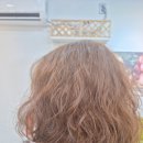 골드카클리닉 | 청주산남동미용실 붐헤어 1인미용실 매직 펌 손상모발클리닉 퍼스널컬러 염색맛집 솔직리뷰