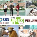 허스키 사랑 | [멍즈니랜드] 대구, 부산, 울산, 경남, 경북 대형견 출장미용&amp;목욕 허스키 출장목욕