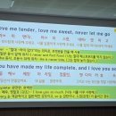 Love me tender 이미지