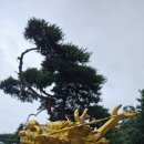 우성농원 이미지