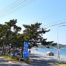 더몽돌물회