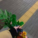 화훼장식기능사 | 꽃집 창업 기록 :: 화훼장식기능사 자격증 취득 현실 후기