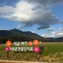 풍차꽃랜드