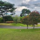 골프존카운티 더골프 이미지