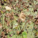 화목노래연습장 이미지