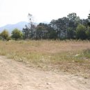 대창초등학교 이미지