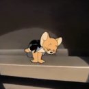 남문학원 | 수원 남문 나의 추억의 맛집 모이세분식