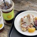 드린겐 애견테마파크 | (경기시흥) 드린겐애견테마파크 애견카페 애견동판카페