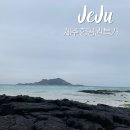 (주)제주도닷컴 | 제주도 비행기표 예약 제주도행 항공권 할인 방법 추천 정리