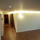 동아목련 이미지