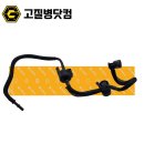 퍼지랜드