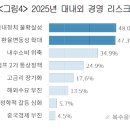 2025년 1분기 제조업 기업경기전망지수 조사 이미지