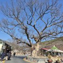 (주)좋은기름나라연산주유소지점 | ~~~포항 청하 보경사~~~