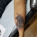 김포타투여명 이미지