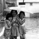 이호발전소 이미지