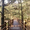청남대 무장애나눔길조성 세계타임즈