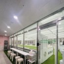 안스축구교실