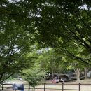 함허동천(제3야영장) 이미지