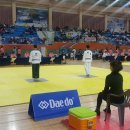 도담태권도 이미지