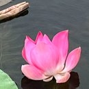 청주시립도서관 동아리실2 이미지