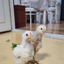 율리2농장 이미지