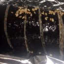모드니김밥