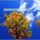 바람처럼구름처럼 이미지