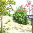 용남해안길 이미지