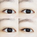 스텔라속눈썹