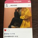 메이홍 이미지