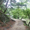 석천2 Daum카페