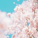 장산휘트니스클럽 이미지