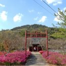 노성초등학교 | 논산시 여행 명재고택 철쭉꽃 활짝