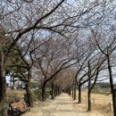 갯골안4 이미지