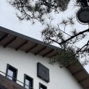 카페늘봄 이미지