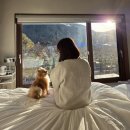 스테이옛 서로의시선 | [스테이옛 서로의시선] 경기근교애견동반펜션 감성 촌캉스 추천