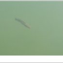 인천목장 이미지