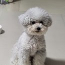 몽스케치 이미지