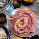 브라더갈매기