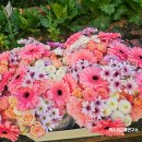 서울동원초등학교병설유치원 이미지