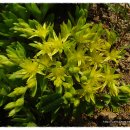 구례농장 이미지