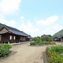 푸른솔염색 이미지