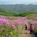 한사랑주유소 이미지