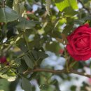 봉선중학교 운동장 이미지